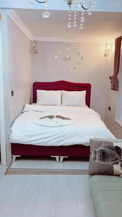 イスタンブール Aymila Apartアパートホテル