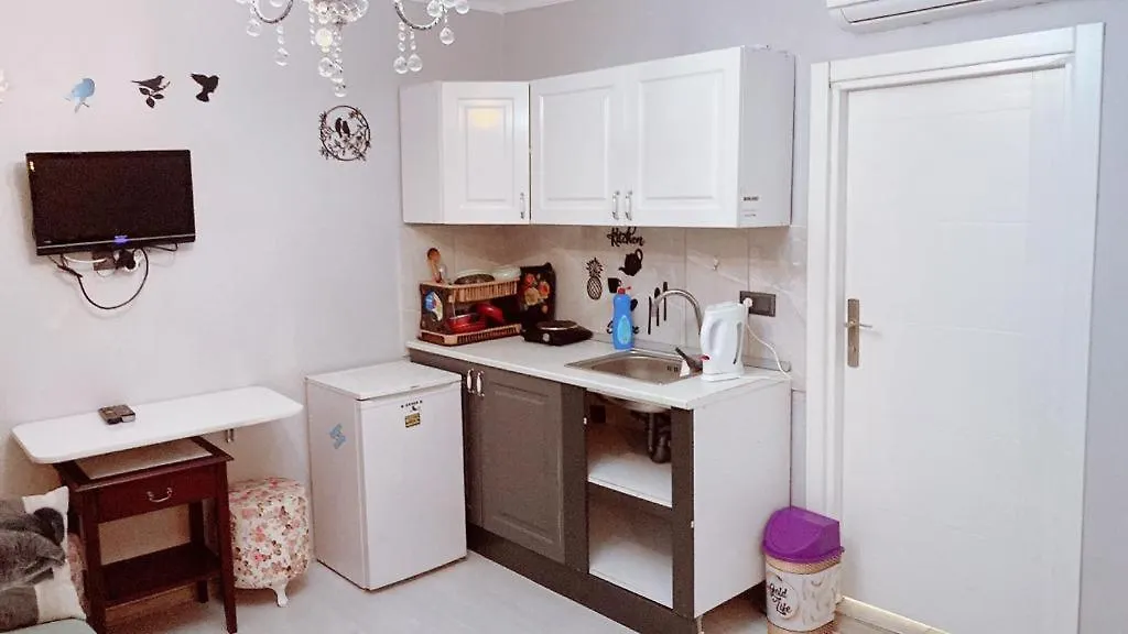 アパートホテル イスタンブール Aymila Apartアパートホテル